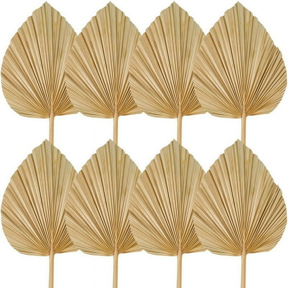 8PCS Dried Palm Leaves Trimmed Dried Palm Spear Palm Fans Tropical Dried Wedding Flowers Boho Wedding Decor