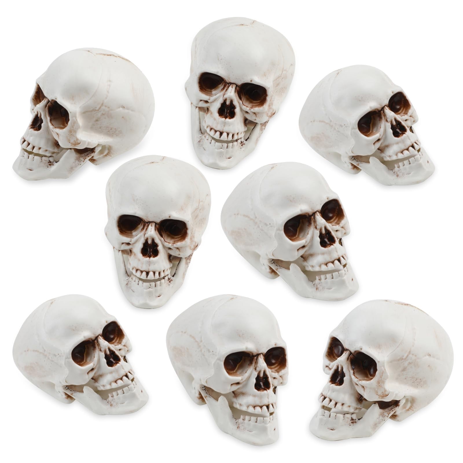 Pub Table Prop 8PCS Halloween Skull Heads Decor,Plastic Human Skeleton Skulls Head ...