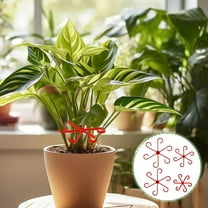 8PCS Plant Stem Support Climbing Houseplant Support Stakes for Indoor Plants Reusable Plastic Climbing Plant Support Plant Trellis Indoor Plant Support for Thriving Growth