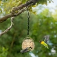 thumbnail image 1 of 8Pcs Ball Bird Feeders Clearance, Bird Suet Ball Feeders, Metal Hanging Bird Feeders with Hooks,Bird Feeder for Outdoors Hunging, Fat Ball Bird Feeders for Wild Birds Outdoor Garden, 1 of 7