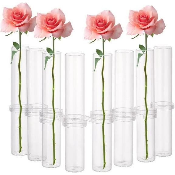 8Pcs Glass Test Tube Vases with 14Pcs S-Shaped Hooks 1x6 Inch Hydroponic Plant Vase 0.9 Inch ID Plant Terrarium Flower Pots for Hydroponic Plants Home Garden Wedding Decoration