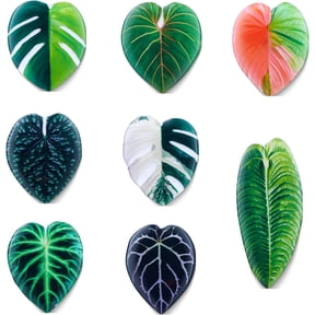 8Pcs Leaf Shaped Fridge Magnets, Decorative Nature-Inspired Magnets for Kitchen, Living Room & Bedroom