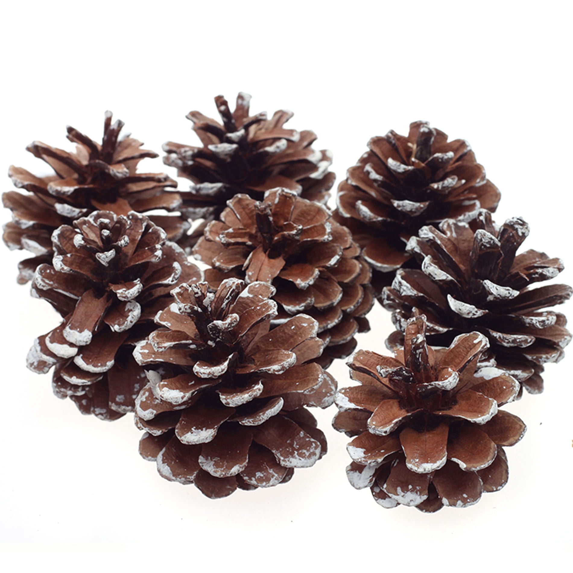 8Pcs Snow Pinecone Ornaments Christmas Tree Baubles Pine Cones Decorations  