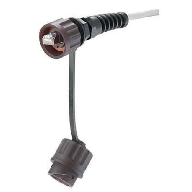 8Position 8Wire UTP Plug Bulkhead Module - Walmart.com