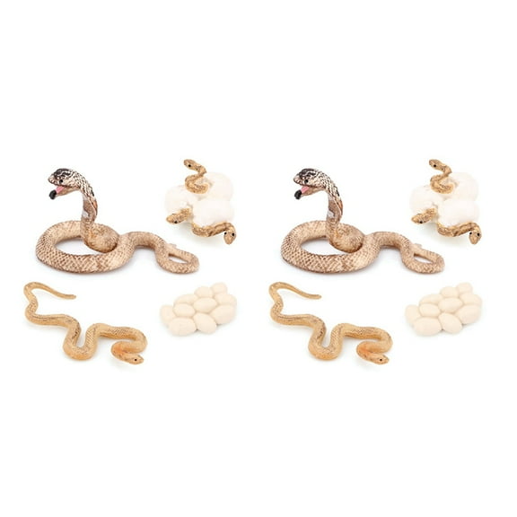 8X Realistic Animal Life Growth Cycle Biological Model Toys Snake Growth Cycle Biological Model Cobra Growth Cycle