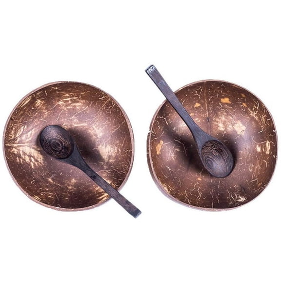 8X and Wooden Spoons for Serving Noodle,Pasta,Smoothie,Porridge,Handicraft Decoration Coconut Shell Bowl