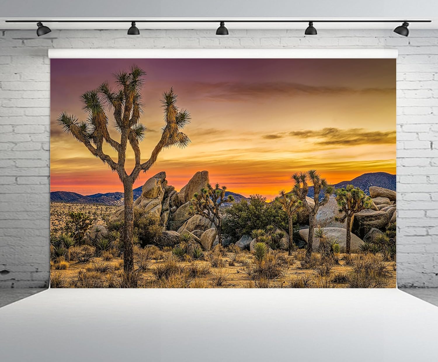 8X6Ft Joshua Tree National Park Backdrop United States Joshua Desert