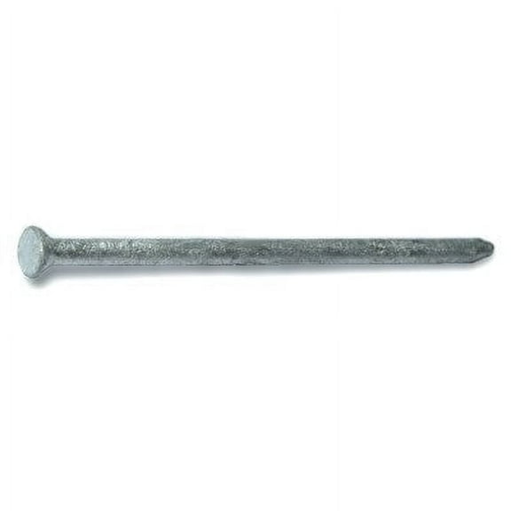 8d 2-1/2" Hot Dip Galvanized Steel Casing Brad Head Nails (165 pcs.)