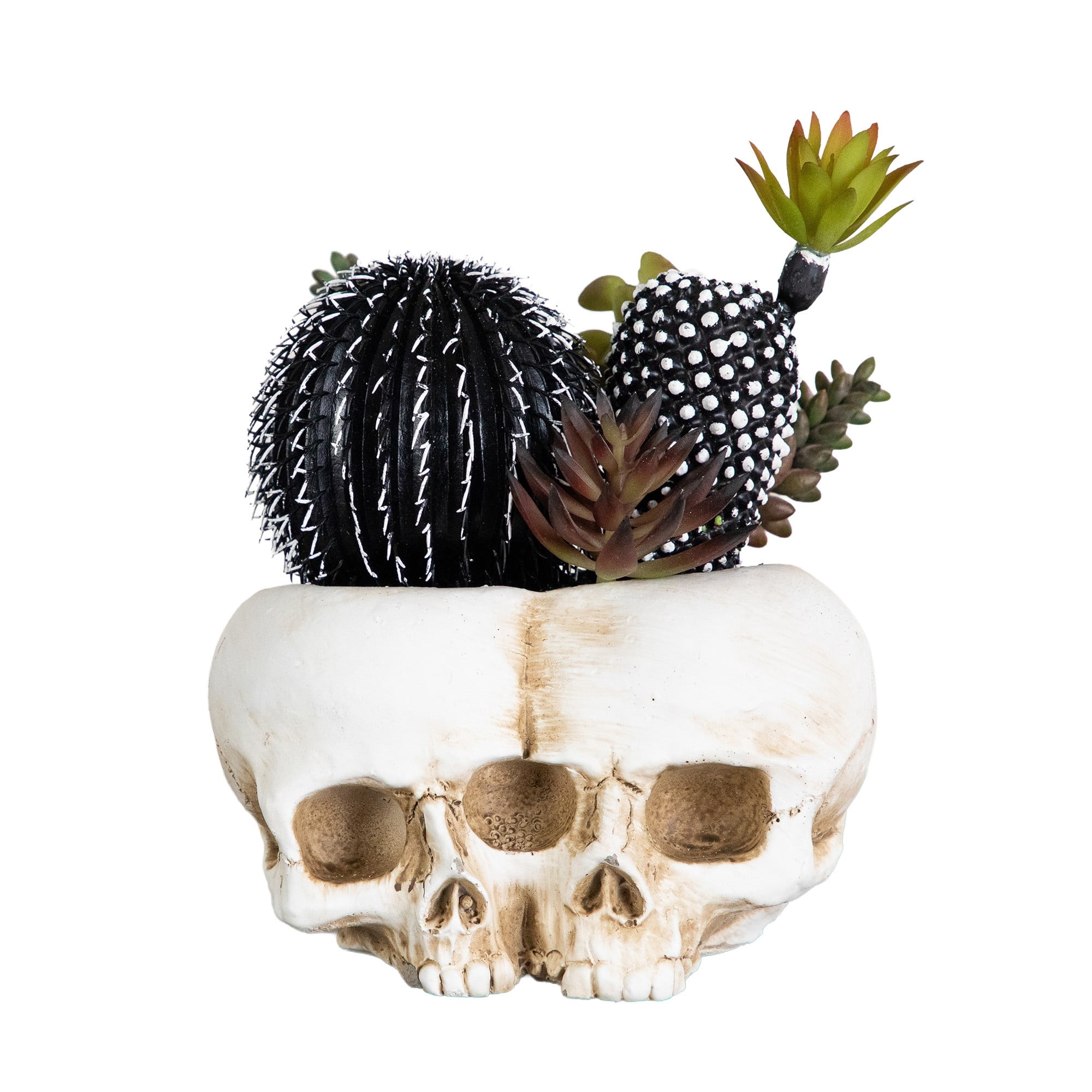 8in. Artificial Halloween Succulent Garden in Double Skull Planter