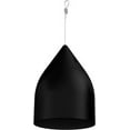 thumbnail image 1 of 8in PENDANT Loudspkr sys BLACK, 1 of 1