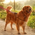 thumbnail image 1 of 8m Long Heavy Duty Dog Tie Out Leash with Swivel Clip for Large Dogs Outdoor Yard Camping Runner, 1 of 3