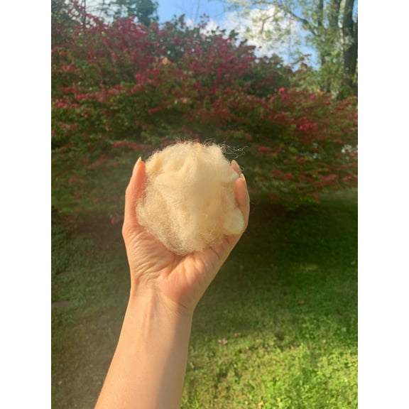 8oz 100% Natural Sheep Wool Hand Washed - Very Soft - Long Fibers