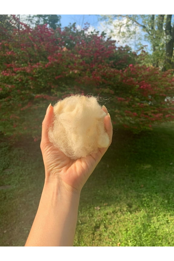 8oz 100% Natural Sheep Wool Hand Washed - Very Soft - Long Fibers