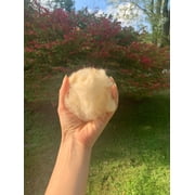 8oz 100% Natural Sheep Wool Hand Washed - Very Soft - Long Fibers