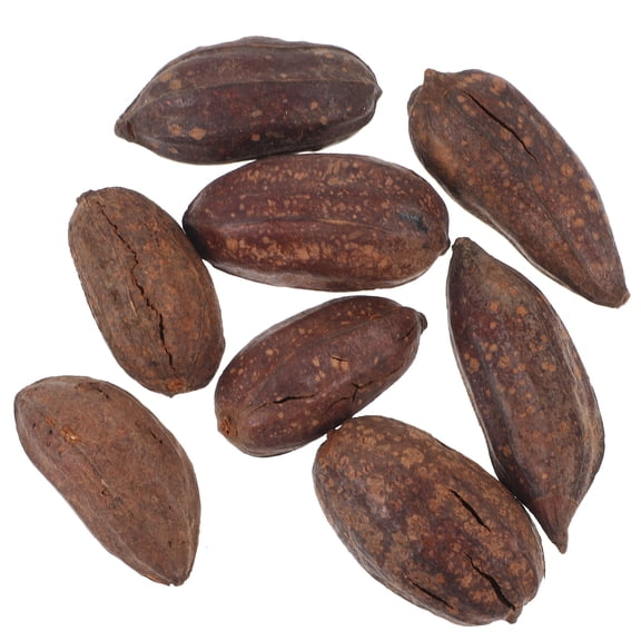 CRILSTYLEO 8pcs Chew Toy for Birds Natural Material Unique Shapes for Parakeet Owners