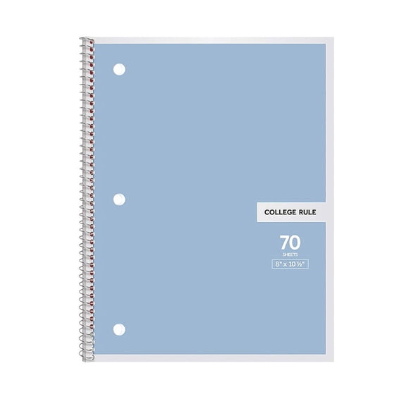 8x10.5 Inch Spiral Notebook With College Ruled Paper For Daily Note Taking - Blue