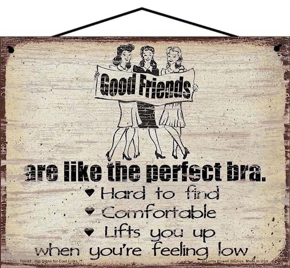 8x10 Vintage Style Sign Good Friends Are Like The Perfect Bra ...