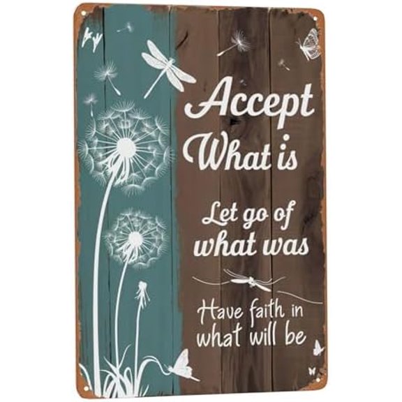 8x12 Inch Metal Sign Have Faith Dragonfly Quote Retro Wall Decor For Bedroom Wall Meditation Shelf Reading Nook And Botanical Decor Spaces Indoor Decor