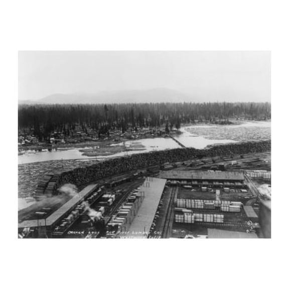 8x12 Photo-Decked logs,Red River Lumber Co.,Westwood,California,Lumbering,January 27,c1925