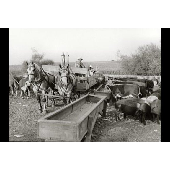 8x12 Photo-Leo Gannon Farm,Jasper County,Iowa,IA,Farm Security Administration,FSA,1