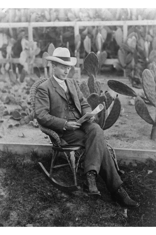 8x12 Photo: Luther Burbank Reading,Field of Cactus,Wicker Rocking Chair ...