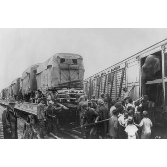 8x12 Photo-Ringling Brothers,Barnum & Bailey Circus,Train,Elephant,Wagons,Boxcar,Big Show