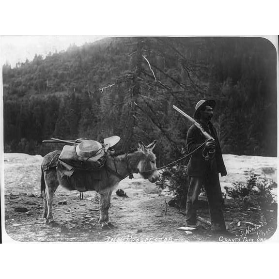 8x12 Photo-The Prospector,c1903,Grants Pass,Oregon,burro,Gold Rush,Donkey,Gold Miner