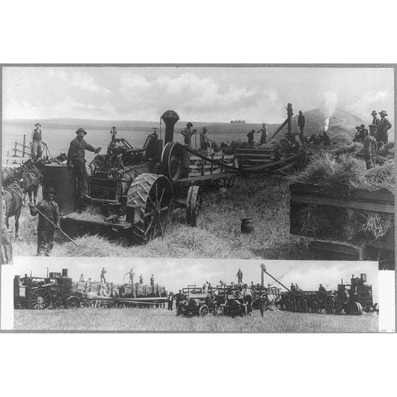 8x12 Photo-Threshing Grain,Beach,North Dakota,ND,1910-1920,Harvesting,Farming,Agriculture