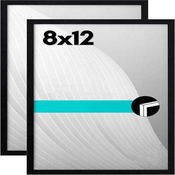 8x12 Picture Frame with Shatter-Resistant Glass - Set of 2 - Thin Border Photo Frame for Tabletop and Wall - Hanging Hardware and Easel Stand Included - Black