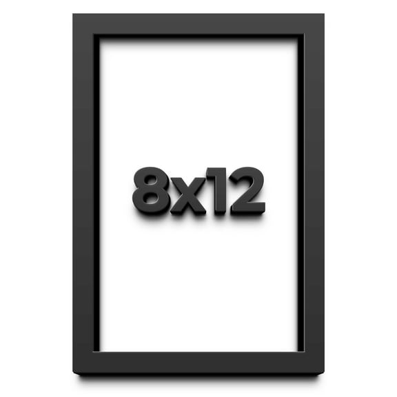 8x12 Shadow Box Black Solid Wood Display Picture Frame with White Acid-Free Backing UV Acrylic &