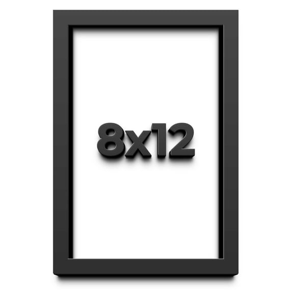 8x12 Shadow Box Black Solid Wood Display Picture Frame with White Acid-Free Backing UV Acrylic &