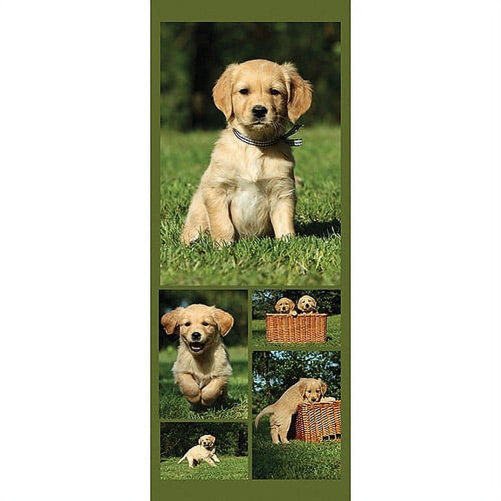 8x20 Panoramic Poster Collage