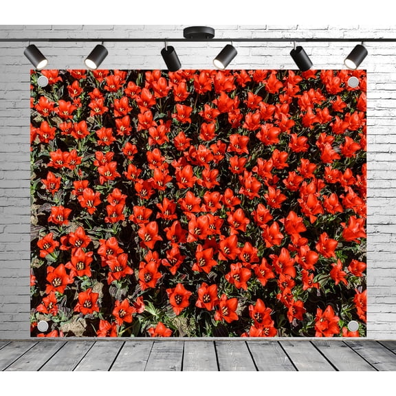8x6ft Floral Backdrop Red Flower Cluster Photo Backdrop Garden Background Decoration Banner for Theme Party Wedding Birthday Baby Shower Photo Booth Studio Props
