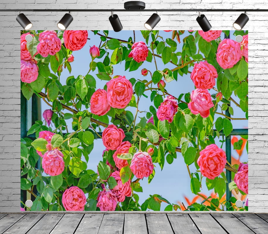 8x6ft Gorgeous Pink Rose Vine Backdrop Photoshoot Photo Backdrop Nature ...