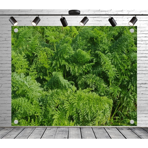 8x6ft Vibrant Tropical Jungle Backdrop Photoshoot Photo Backdrop Nature Scenery Background for Theme Party Wedding Birthday Baby Shower Decoration Banner Photo Booth Studio Props