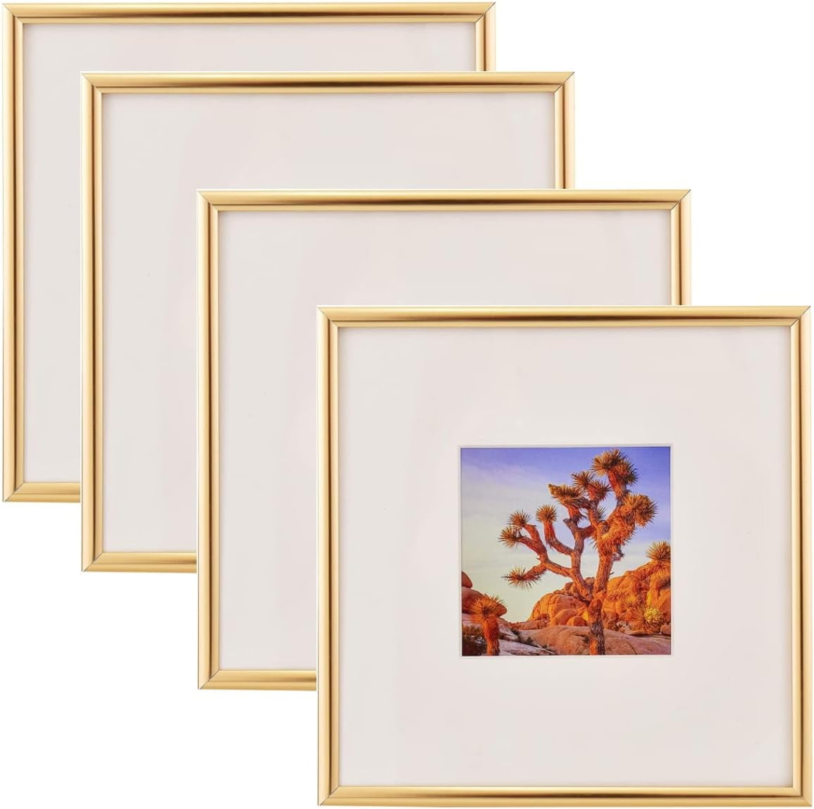 8x8 Picture Frame in Gold - Displays 4x4 With Mat and 8x8 Without Mat ...