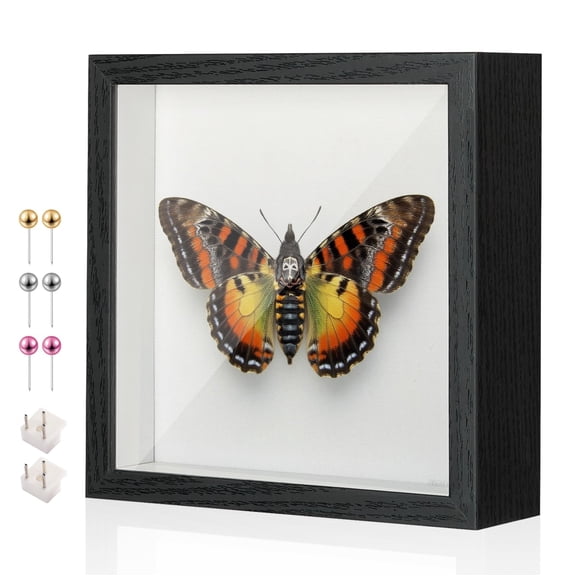 8x8 Shadow Box Display Case Picture Frame With Soft Linen Large Deep Black For Flowers Medal Jersey Pet Graduation Memorabilia Ltems Crafts Photos