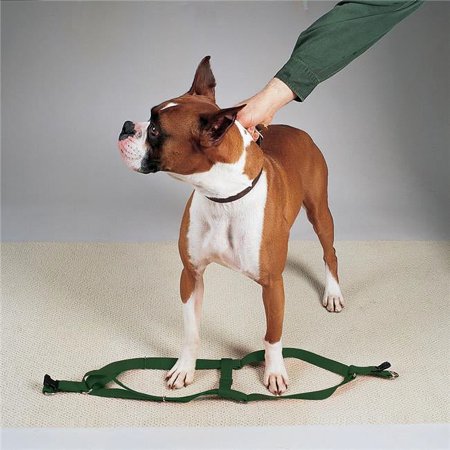 9-15 in. Nylon 2 Step Dog Harness, Green