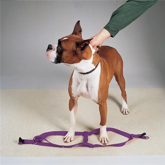 9-15 in. Nylon 2 Step Dog Harness, Purple