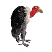 9.5" Black Vulture D cor by Ashland