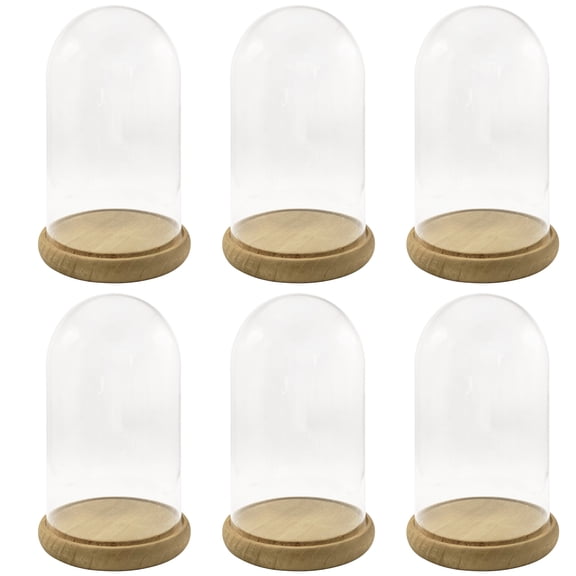 9.5" Glass Cloche with Wood Base by Ashland  Elegant Display Dome for Plants - Figurines & Home Decor - 6 Pack