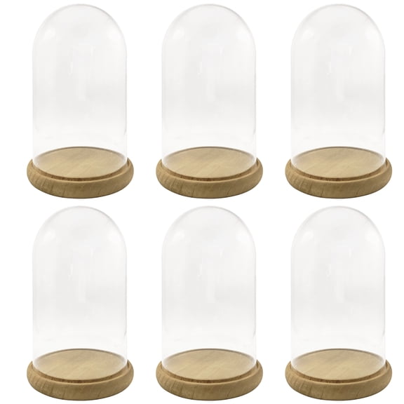9.5" Glass Cloche with Wood Base by Ashland â€“ Elegant Display Dome for Plants - Figurines & Home Decor - 6 Pack