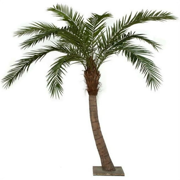 9.5 ft. Oal Phoenix Palm - Green