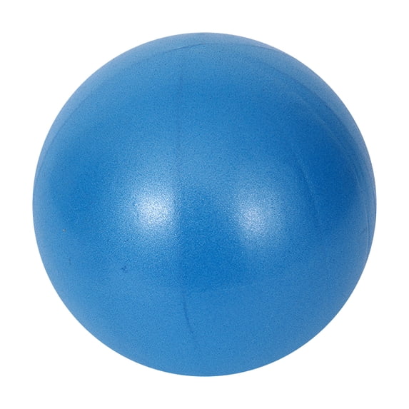 9.84in Anti-Burst Yoga Stability Ball, Small Soft Exercise Ball for Balance Training, Pilates Exercise and Home Gym Workout