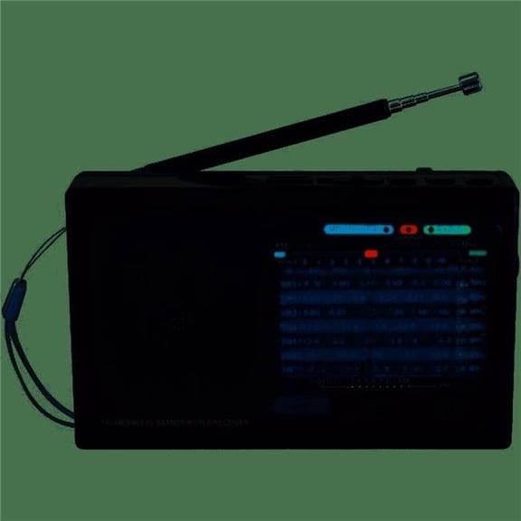 9 Band Bluetooth, Micro SD Card & USB, Black