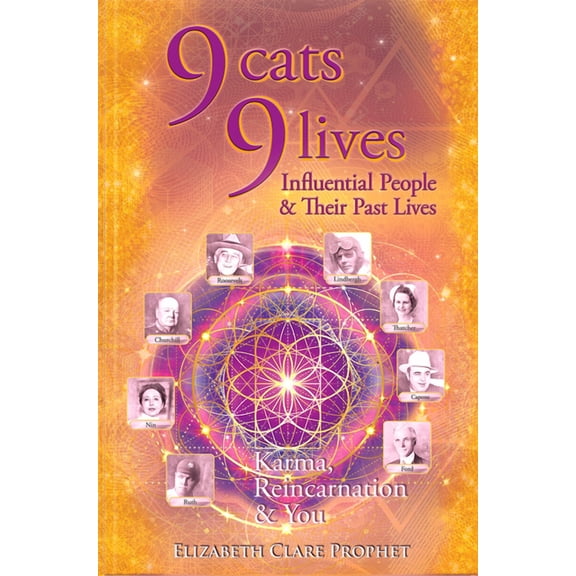 9 Cats 9 Lives: Karma Reincarnation and You, (Paperback)