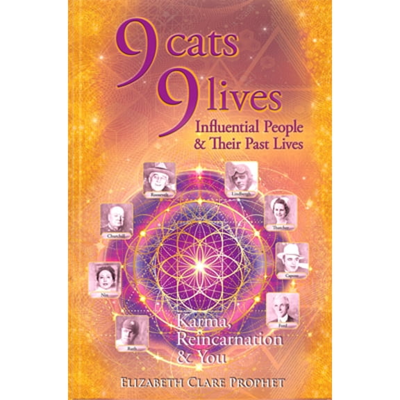 Pre-Owned 9 Cats 9 Lives: Karma Reincarnation and You (Paperback) 1609883586 9781609883584