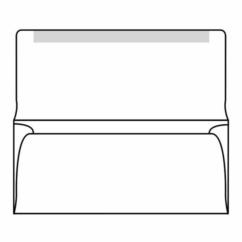 Remittance Box #9 Collection/Remittance Envelopes, 3-7/8