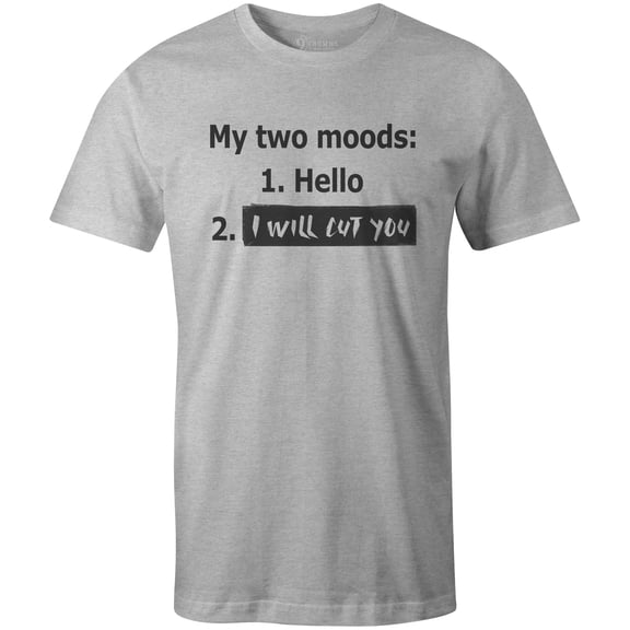 9 Crowns Tees My Two Moods Funny Antisocial Tee Shirt (Unisex Grey, Small)