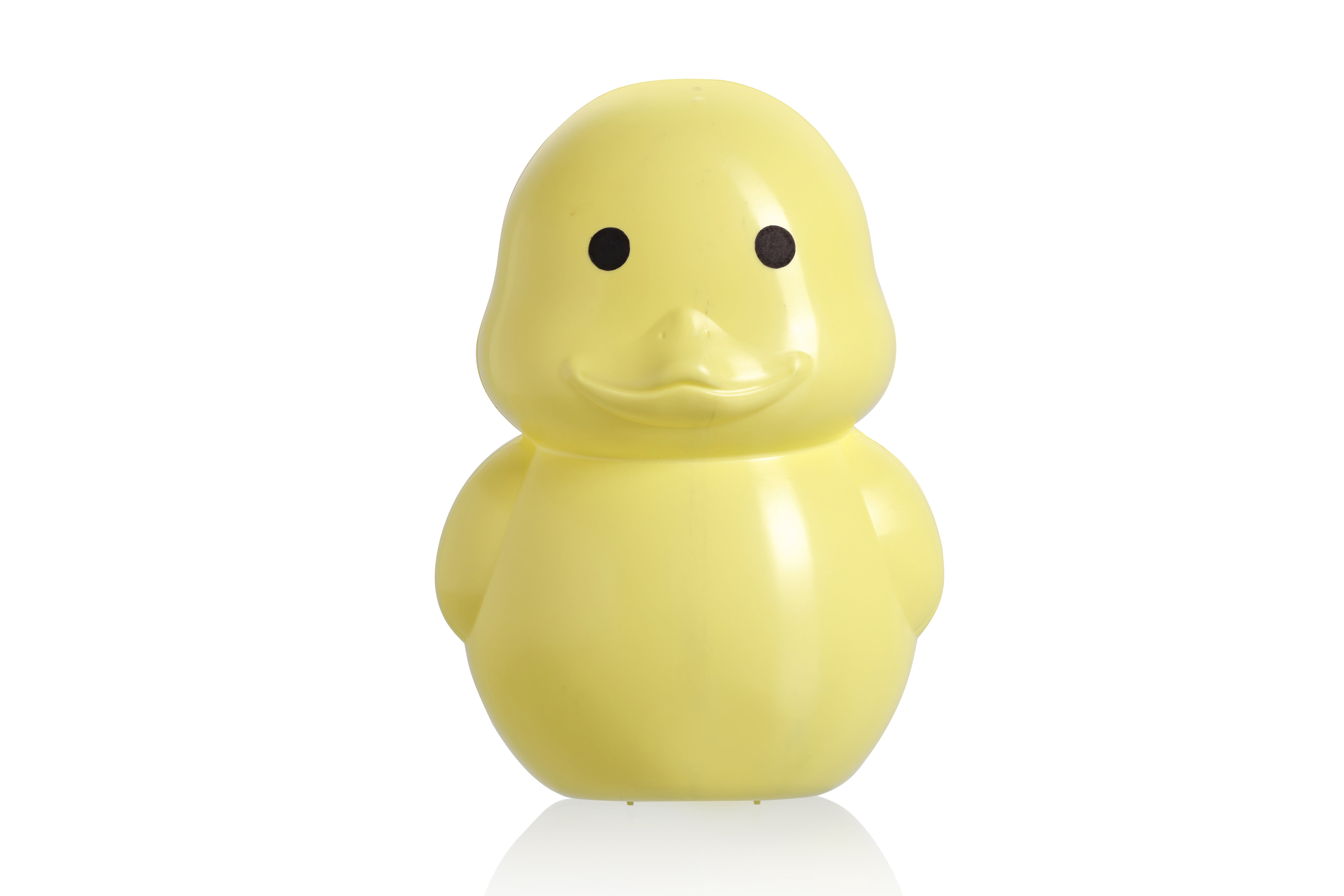 9`` DUCK CONTAINER